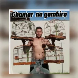 Chama na gambira 🐄🐎🐓🐖