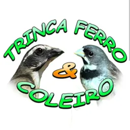 *Rifa do trinca e do coleira*