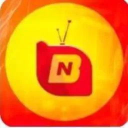 PORTAL BRASÃO NEWS