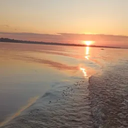 JAPURA MINHA TERRA