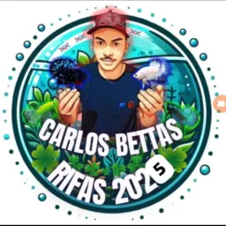 🔥🔥🔥CARLOS BETTAS GRUPO DIVULÇAO E LINKS