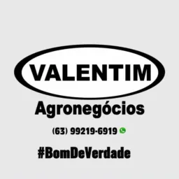 Compras Vendas Gambira 🚀