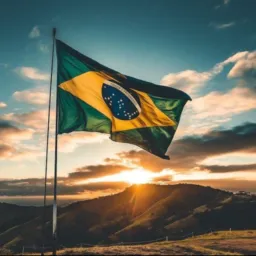 Divulga Brasil 01