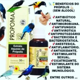🇸🇲FEIRÃO DE CAIXIAS🇸🇲