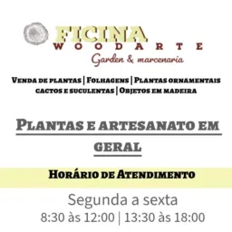 Oficina Woodarte plantas e artesanato (Xinguara)