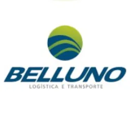 CARGAS BELLUNO 🇧🇷 SP / MT MS DF GO