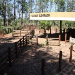Compras e vendas   assentamento eldorado 2 🚜🌱🌱