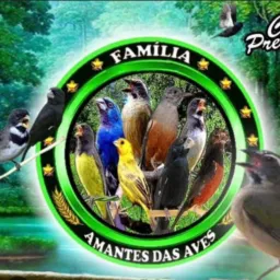 PÁSSARO SO DD 31🐦