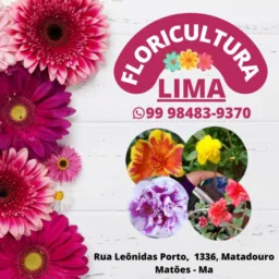 Floricultura lima🌹🌷💐🌱🎋🪴