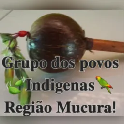 GRUPO DOS POVOS INDÍGENAS DO TERRITÓRIO ARARIBÓIA