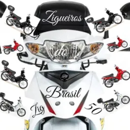 Zigueiros do Brasil zig50