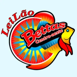 Leilão Sábado às 18h G1
