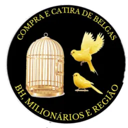 COMPRA E CATIRAS BELGAS MIONARIOSBH E REGIAO