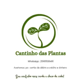 Cantinho das Plantas( GRUPO VENDAS)