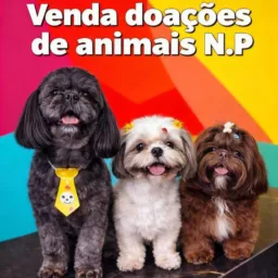 DOAÇÕES E VENDAS DE ANIMAIS CIDADE NOVO PROGRESSO PARÁ 🐕🐈🐖🐎🐄🫏🐑🐇🐁🐦🐤🦆🦜🐠