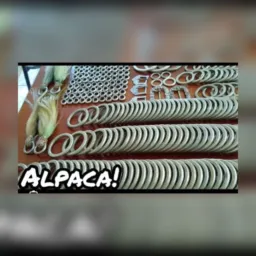 Giro da alpaca e da amarela Rolim de Moura Rondônia🤝