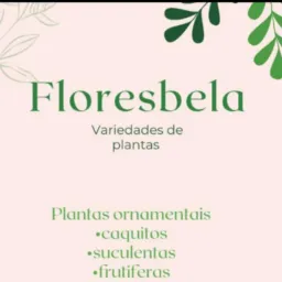 🌸Floricultura floresbela🌸