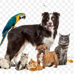 "mundo animal" vendas🐣🐷🐾🐓🍃