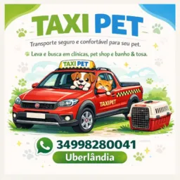 Táxi 😸🐕