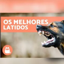 GRUPO PARA LATIDOS!