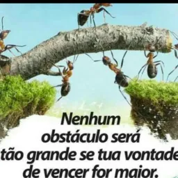 Compra vende troca aluga