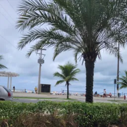 Praia Grande Vendas e Comércio