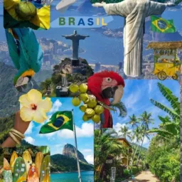 brasileiros tz🇧🇷💯🤷‍♂️