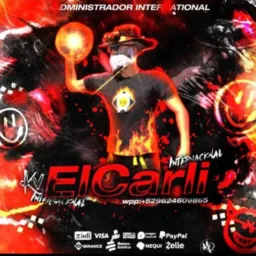 C/V elcarli Ⓥ