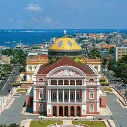 Manaus Vendas & compras & trocas.
