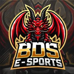 SELETIVA BDS E-SPORTS