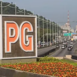 Empregos na PG e Região