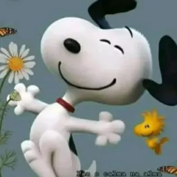 Doação animais matinhos