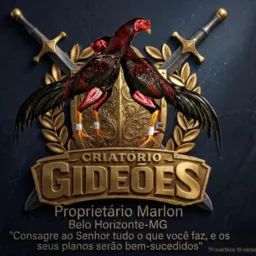 Criatorio Gideões preázada de luxo 🐓🐓🐓!!