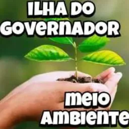 MEIO AMBIENTE ILHA DO GOVERNADOR RJ