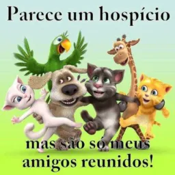 ZOEIRA MIL GRAU