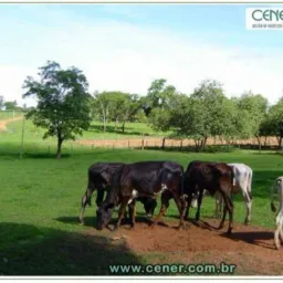 VENDAS DE TERRENOS MG