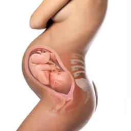 Troca de experiências de gestantes 🤰🏼🤰🏼🤰🏼🤰🏼👼🏻