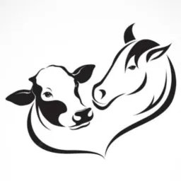 AMIGOS AGROPECUARISTAS, VENDAS E TROCAS DE HIDROLANDIA
