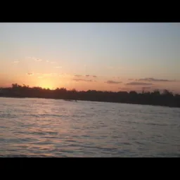 Aruana e Vale do Araguaia e região compra e vendas guanbiras 🤩🤩