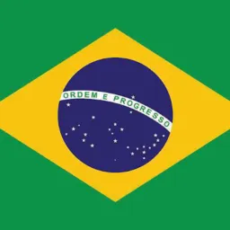 🇧🇷punho de aço
