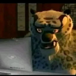 Zoeira e amizade 2.0