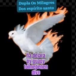 Dupla Os Milagres Dos Espírito Santos