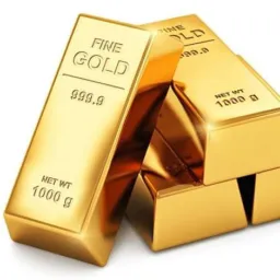 Grupo Gold