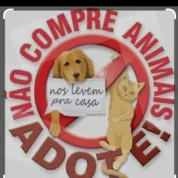 GRUPO SOMENTE DE DOAÇÕES E ADOÇÃO DE ANIMAIS 🐾🐶🐱🐭