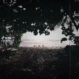 Música 🎵🎼 🎧