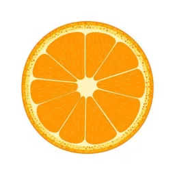 METADE DA LARANJA - ROSEMARY O DE SOUSA