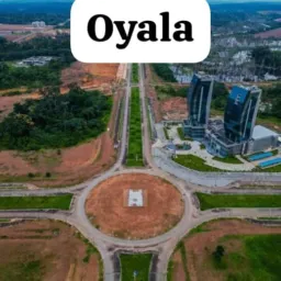 Variedades Oyala AM 🐘
