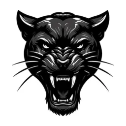 MERCADO BALA | PANTERA NEGRA ⁰²