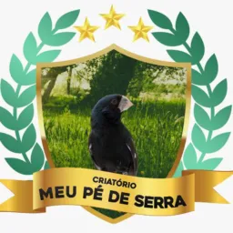 Rifa de Bicudo criatório meu pé de serra