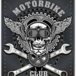 free lance moto clube 15